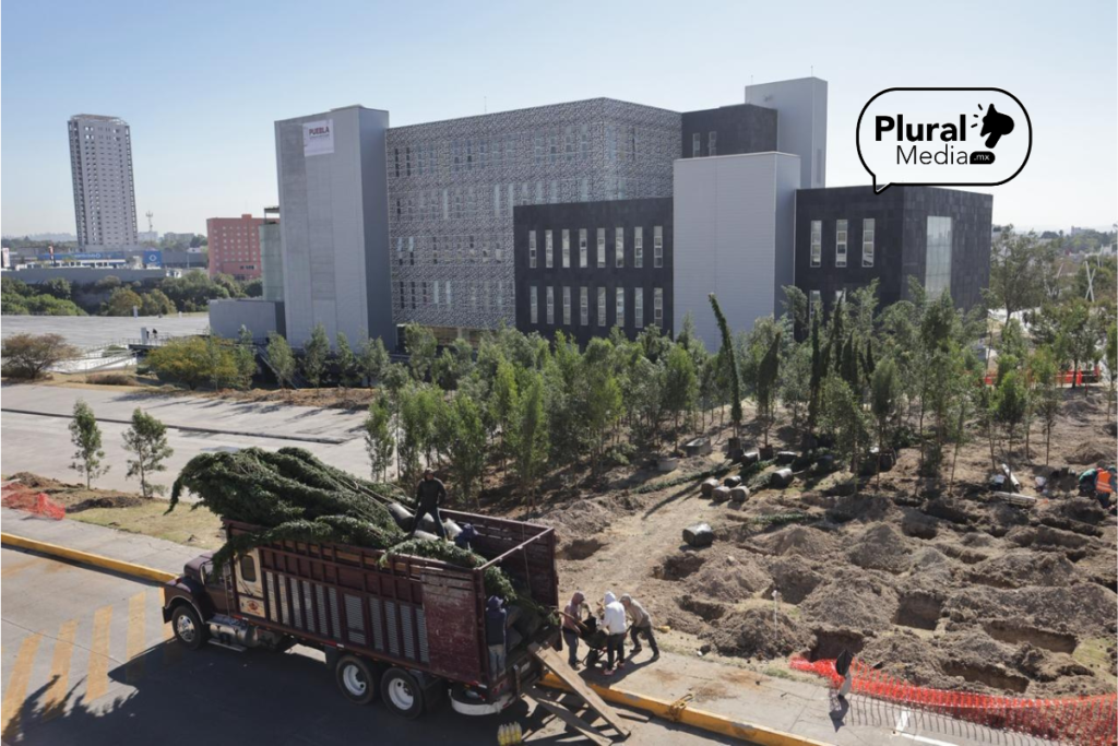 Reforestación en el Centro Integral de Servicios de Angelópolis